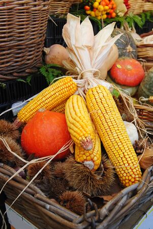 Still life with corn at a food market.の写真素材
