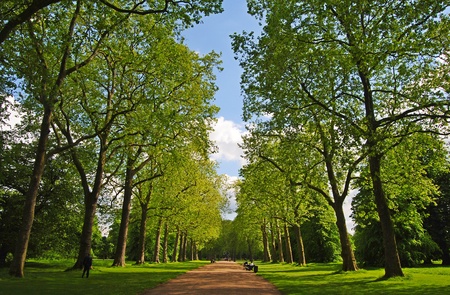 London, Great Britain - May 14, 2014. Alley in Kensington Gardens in London, with trees and people.のeditorial素材