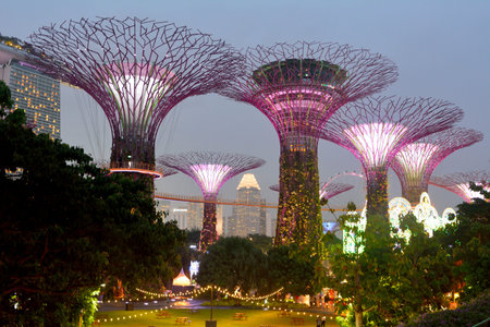 Singapore, Singapore - December 11, 2017. Illuminated futuristic Supertrees at Gardens by the Bay in...