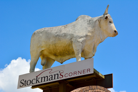 Rockhampton, Queensland, Australia - December 28, 2017. Statue of Big White Bull on roof of a commercial building on Gladstone Road in Rockhampton, QLDのeditorial素材
