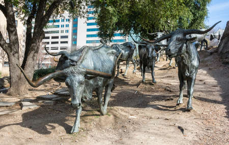 Dallas, Texas, United States of America - December 31, 2016. Texas longhorns forming a part of a huge bronze monument of 40  larger-than-life longhorns in Pioneer Plaza in Dallas, TX. Designed by artist Robert Summers, this is the largest bronze monument のeditorial素材
