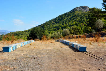 Rows of beehives on Bozburun peninsula near Marmaris resort town in Turkey.の写真素材