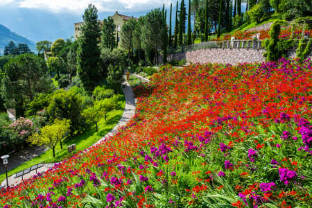 Merano, South Tirol, Italy â July 4, 2016. View of terraced botanical gardens of Trauttmansdorff Castle in Merano, Italy. View with people in summer.のeditorial素材