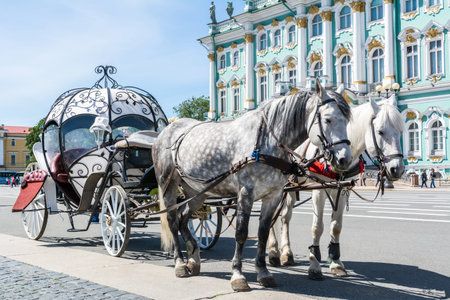 Saint Petersburg, Russia â€“ June 15, 2017.  Horse-drawn carriage for tourist transport on...