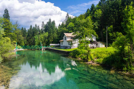 Landscape in Vintgar Gorge (Soteska Vintgar) near Bled town in Slovenia, near the hydroelectric dam built across the Radovna River.のeditorial素材