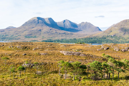 Landscape in the Torridon region of Scotland, toward Beinn Alligin mountain.の写真素材