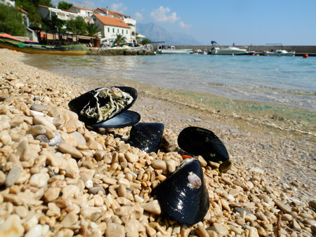 Beach in Croatia in the village Pisak.
