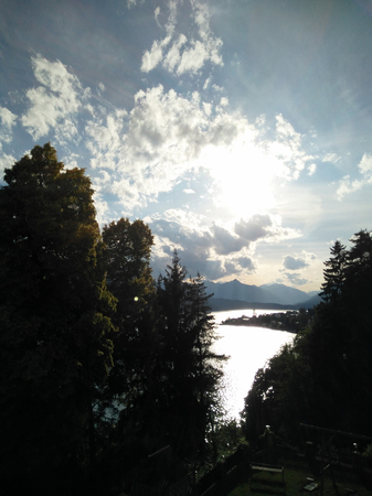 Photo of the sky and trees on a sunny day.の写真素材
