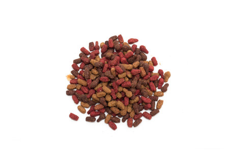 Animal feed. Photo.の写真素材