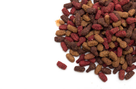 Animal feed. Photo.