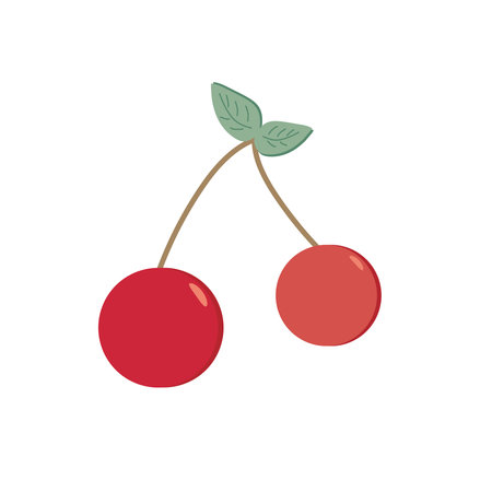 Cherries on a white background. Illustration. The fruit.