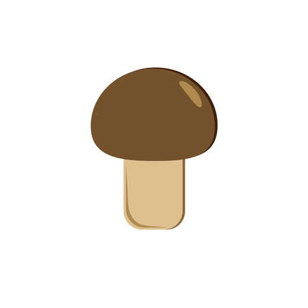 Mushroom on a white background. Illustration.のイラスト素材