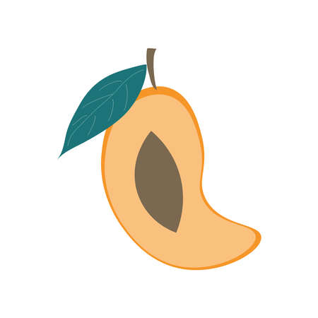 Cutaway mango is a healthy natural exotic fruit on an isolated background. A piece of fruit. Vector illustration.のイラスト素材