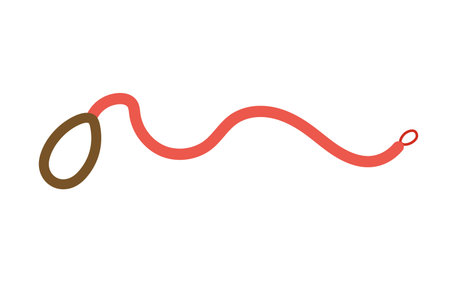 Leash for walking a dog or cat. Accessories for pets. Shop concept. Flat isolated vector...