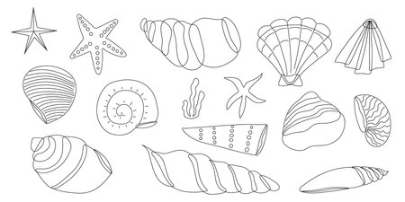 A set of seashells in a black and white outline. Coloring. Vector illustration. Set of seashells.のイラスト素材