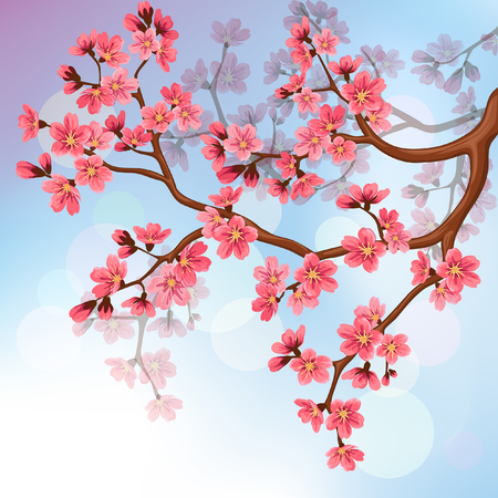 Background with sakura blossomsのイラスト素材