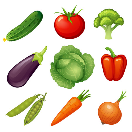 Fresh vegetables. Cucumber, tomato, broccoli, eggplant, cabbage, peppers, peas, carrots, onionsのイラスト素材