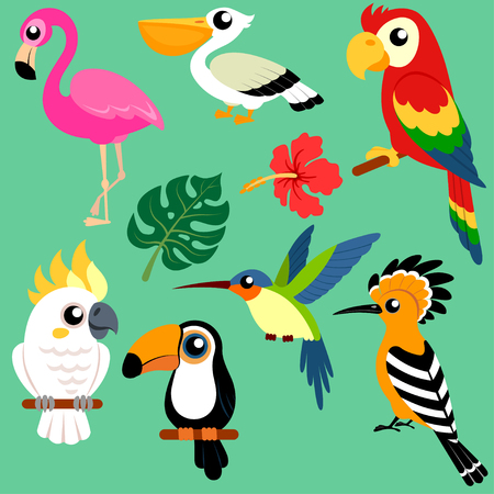 TSet of bright exotic tropical birdsのイラスト素材