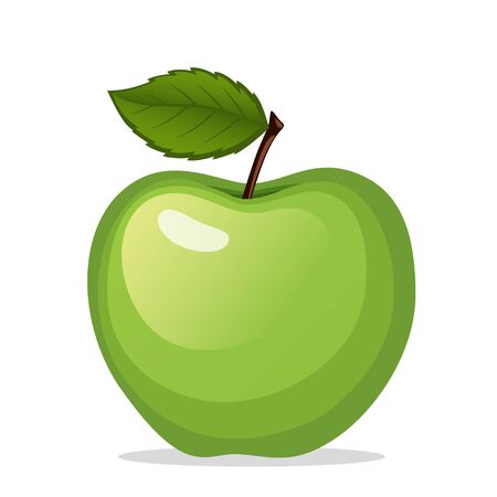 Green apple isolated on white backgroundのイラスト素材
