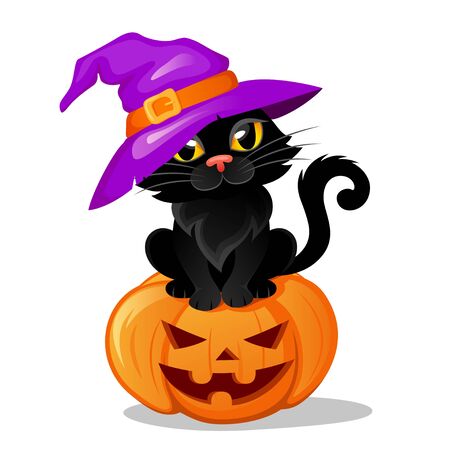 Halloween black cat in a witch hat sitting on halloween pumpkinのイラスト素材