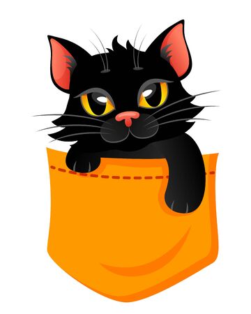 Pocket Cat. Cute print with kitty for t-shirtのイラスト素材