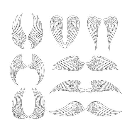 Angel wings set. Black and white vector illustrationのイラスト素材