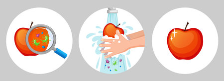 Hands washing dirty apple with soap and foam under running water. Concept of health and hygiene. Wash fruits. Prevent viruses and bacterias. Vector illustrationのイラスト素材