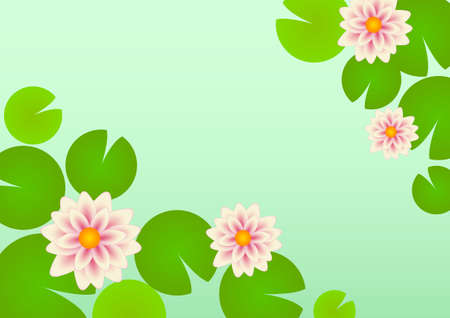 Water liliesのイラスト素材