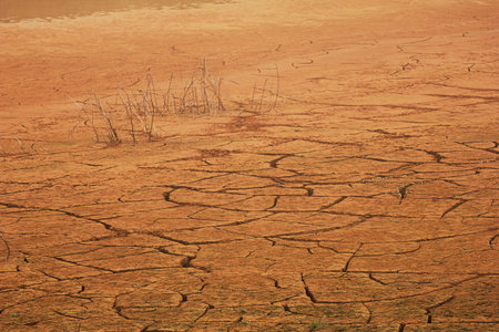 Global warming concept. Texture drought cracked