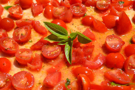 basil leaves surrounded by small round tomatoesの写真素材