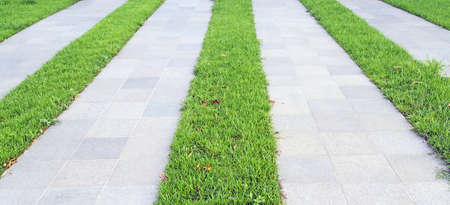 green grass strips between cement stripsの写真素材