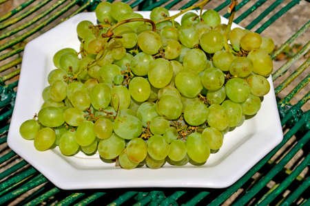 green grapes on a white plateの写真素材