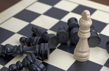 white king winning over the whole black team