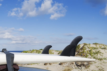 detail of three surfboard fins on a car rooftop at the beachの写真素材