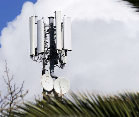 phone antennas behind a palm treeの写真素材