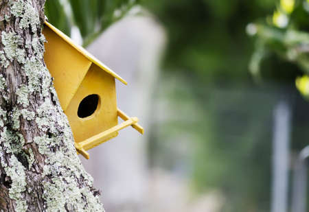 orange birdhouse on a treeの写真素材