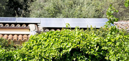 ivy with photovoltaic panels on the backgroundの写真素材