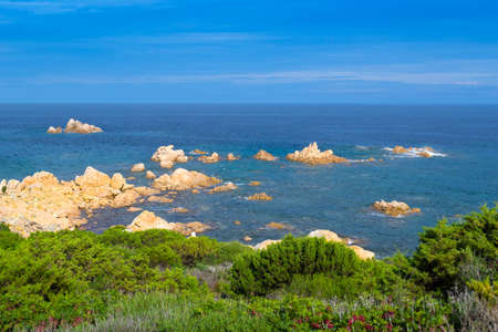 detail of the Gallura coastline with rocks and vegetationの写真素材