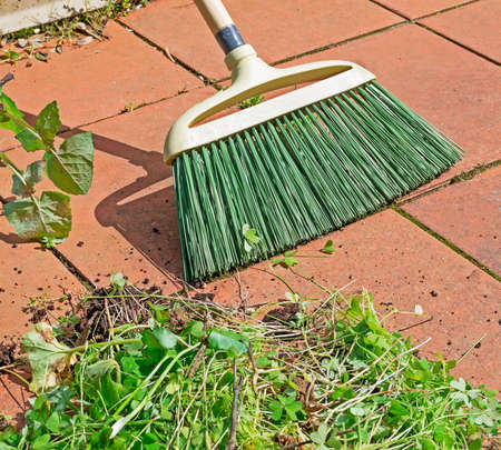grass and broom on a red floor,の写真素材