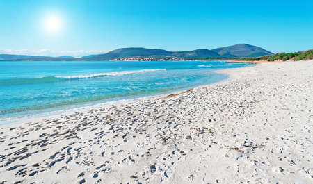 Maria Pia beach on a sunny dayの写真素材