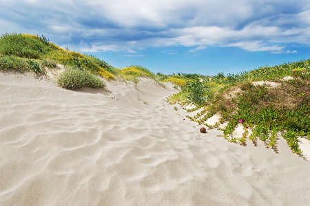sand dune on a cloudy dayの写真素材