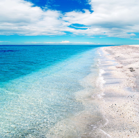 turquoise foreshore in stintino, Sardiniaの写真素材
