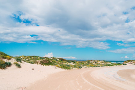 sand on the street in a sardinia beach