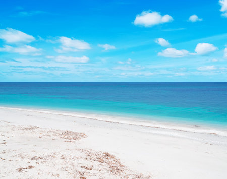 white sand and turquoise water in Sardinia