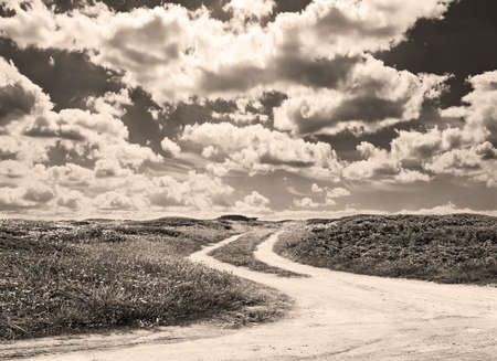 country road on a cloudy day in Sardinia in sepia toneの写真素材