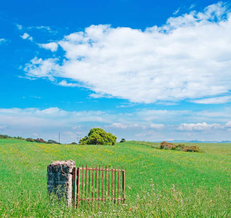 old gate in a green fieldの写真素材