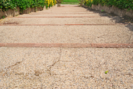 walk path in a garden on a sunny day