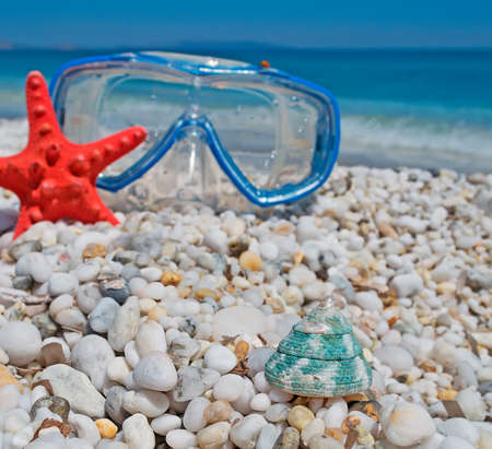 green white on white pebbles with mask and seastar on the backgroundの写真素材
