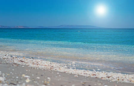 Sardinia foreshore detail on a sunny dayの写真素材