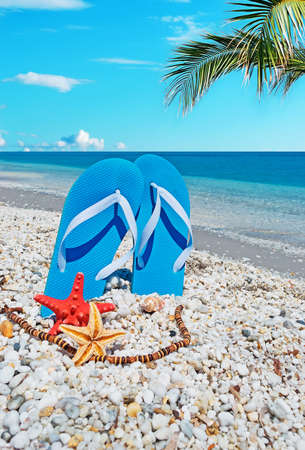 blue sandals and seastars on white pebbles by the shoreの写真素材